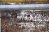 Окончены мероприятия по ликвидации разлива нефти в поселке Харьягинский