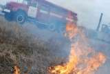 Из-за неконтролируемого пала сухой травы едва не сгорела деревня Климово в мурманском районе Владимирской области